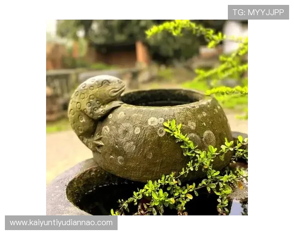 开运在线帮助你改善风水布局，打造吉祥居家环境迎好运